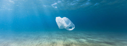 Des choix durables au quotidien pour la protection de l’environnement