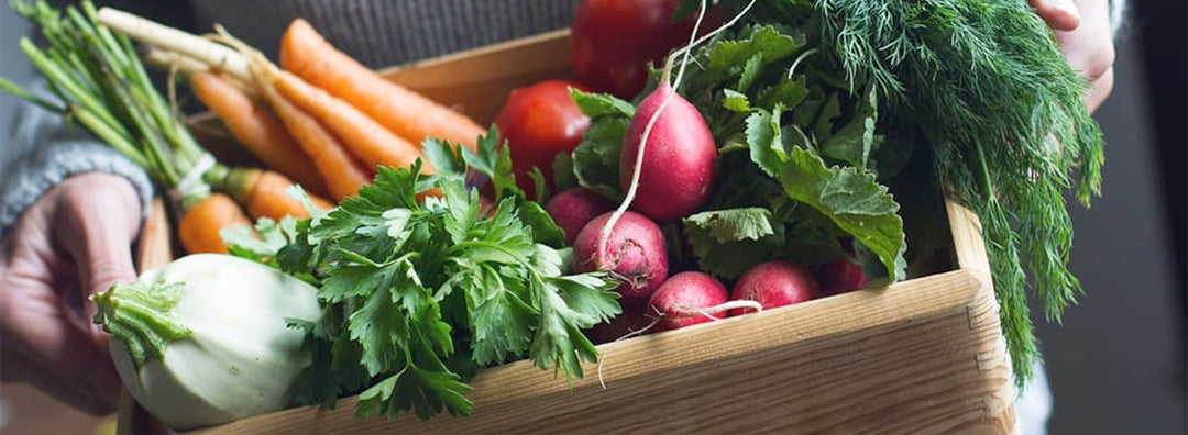 Comment effectuer une cure détox après les fêtes ?